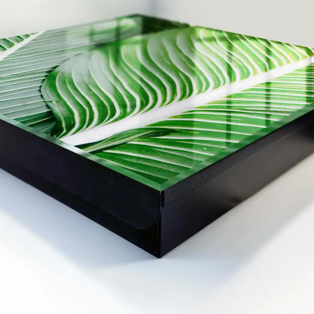 Boîte à clés feuilles vertes aux lignes distinctes