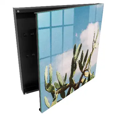 Boîte à clés cactus vert sur fond de ciel bleu