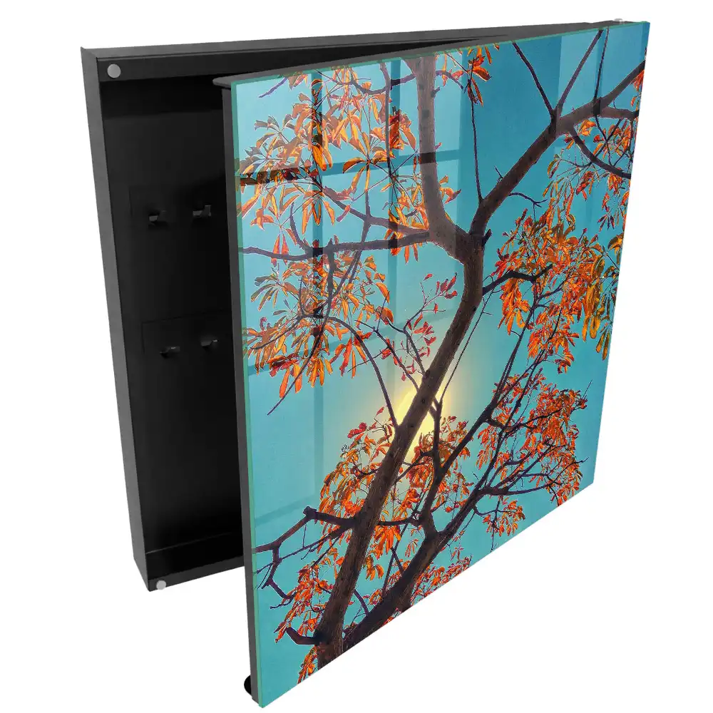 Boîte à clés murale des feuilles colorées sur fond de ciel bleu
