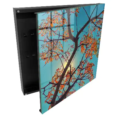 Boîte à clés murale des feuilles colorées sur fond de ciel bleu