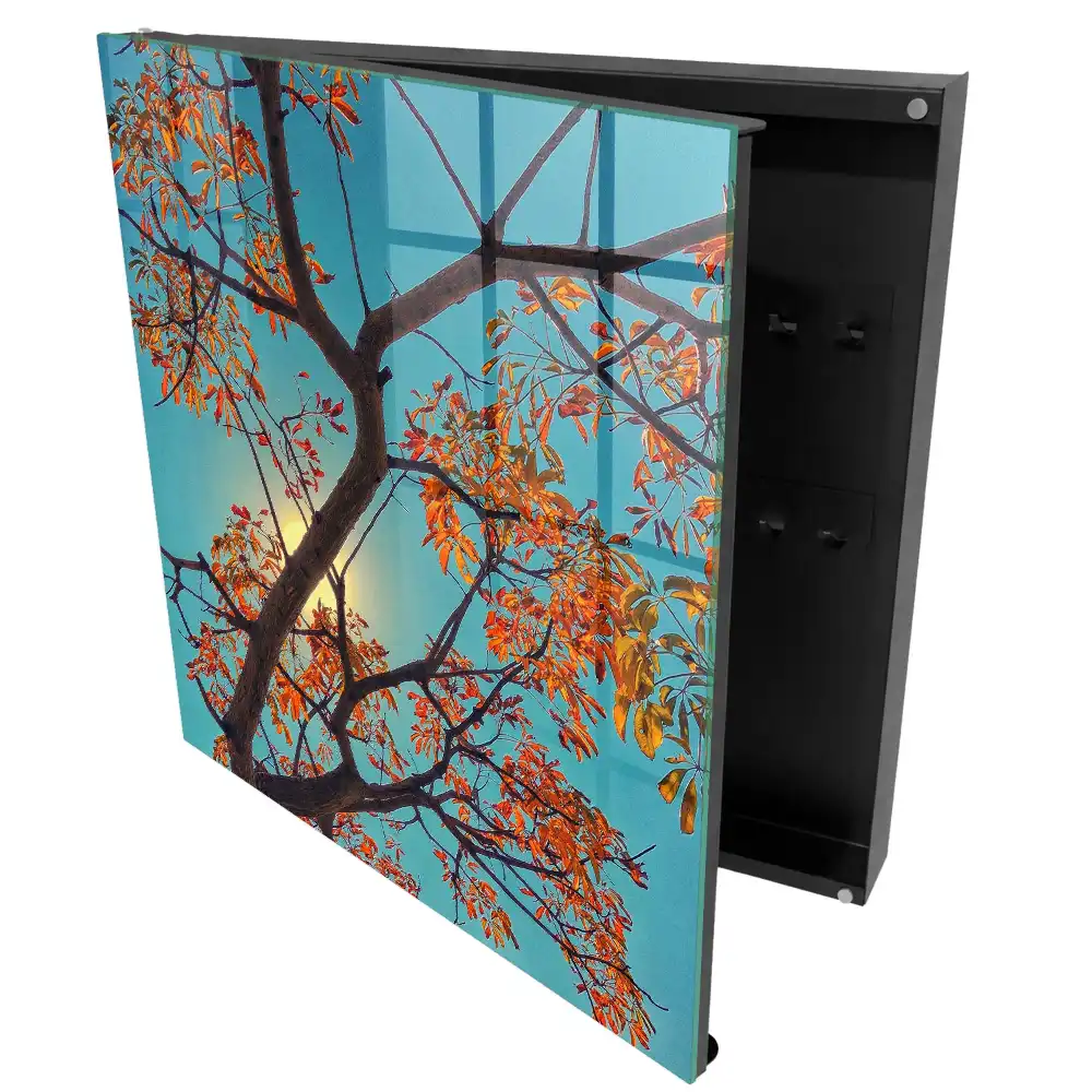 Boîte à clés murale des feuilles colorées sur fond de ciel bleu