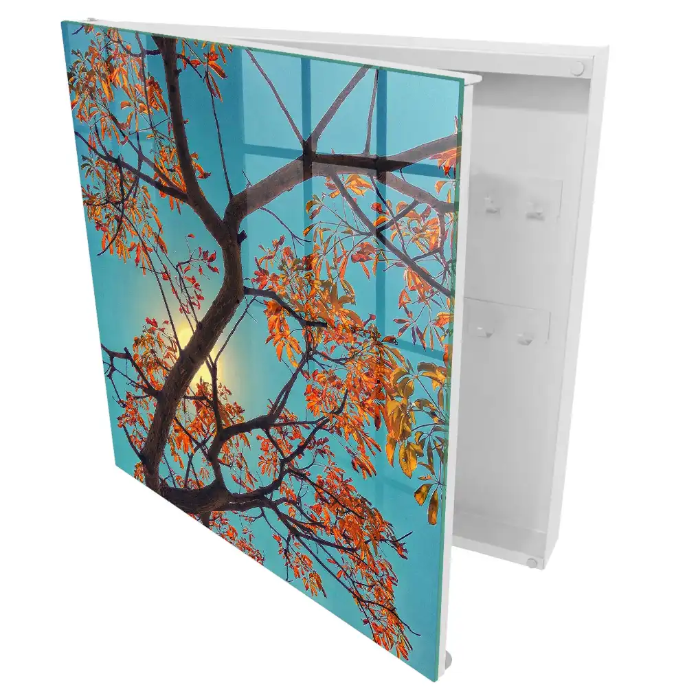 Boîte à clés murale des feuilles colorées sur fond de ciel bleu