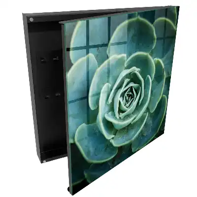 Armoire à clés rosette verte idéale pour la détente
