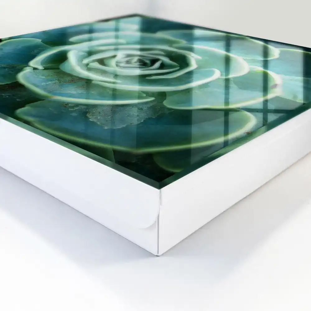 Armoire à clés rosette verte idéale pour la détente