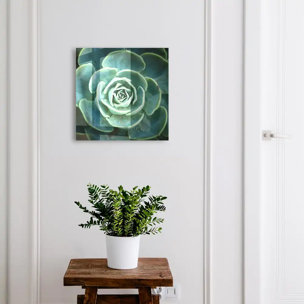 Armoire à clés rosette verte idéale pour la détente