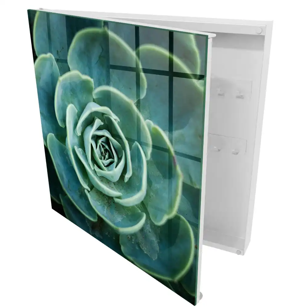 Armoire à clés rosette verte idéale pour la détente