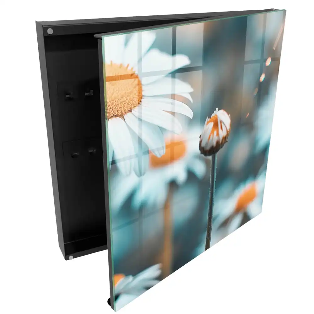 Armoire à clés des marguerites pastel et un arrière-plan flou