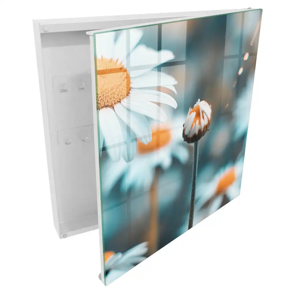 Armoire à clés des marguerites pastel et un arrière-plan flou