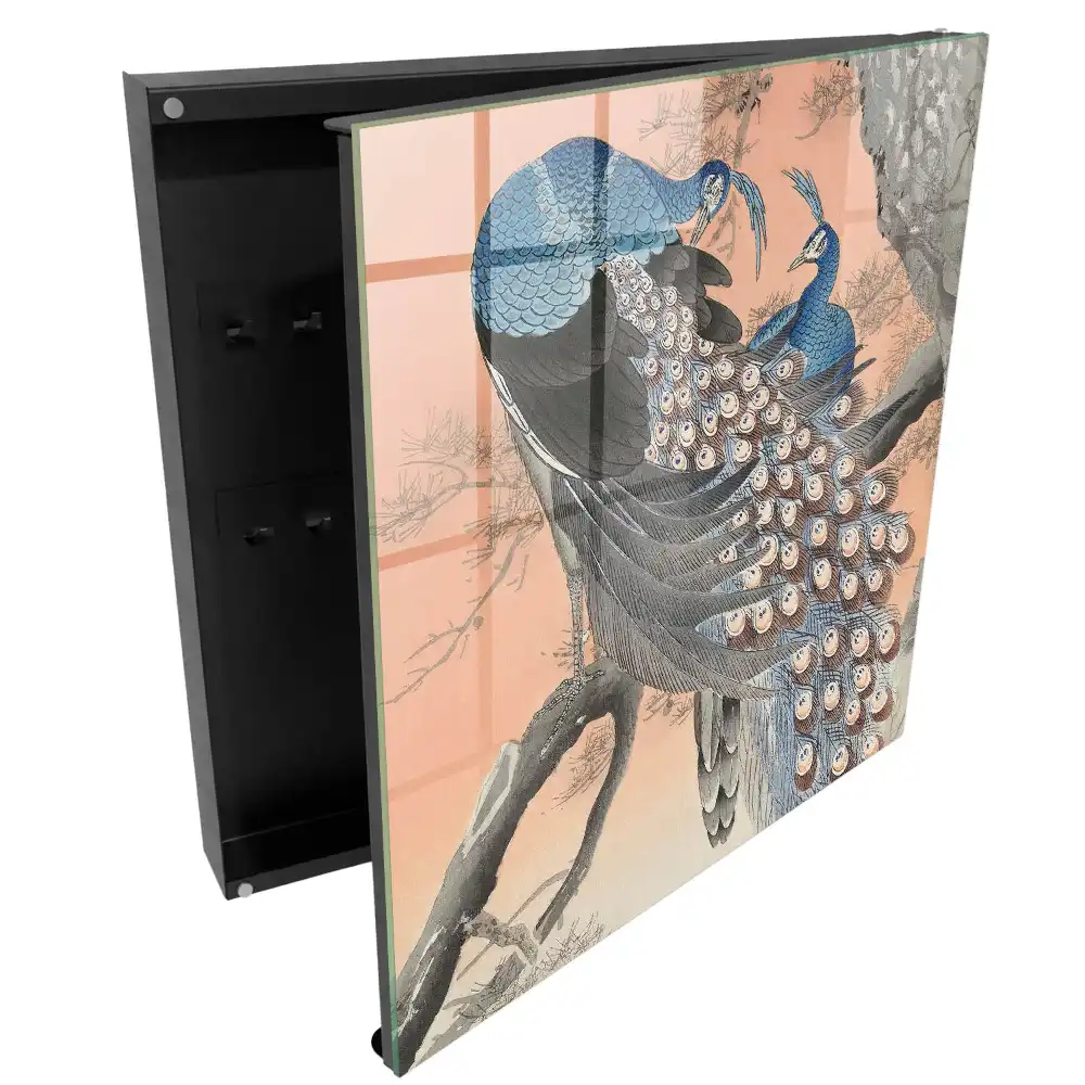 Armoire à clés paons bleus sur fond pastel