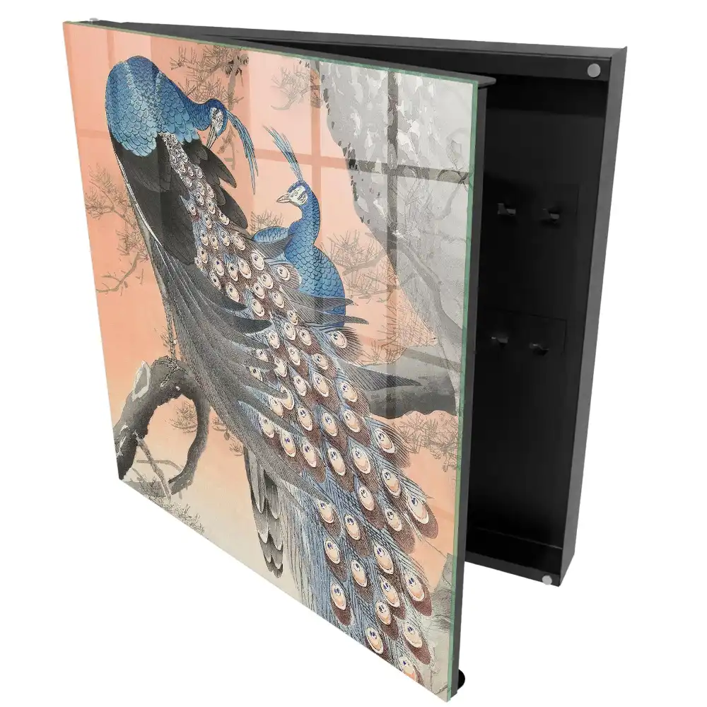 Armoire à clés paons bleus sur fond pastel