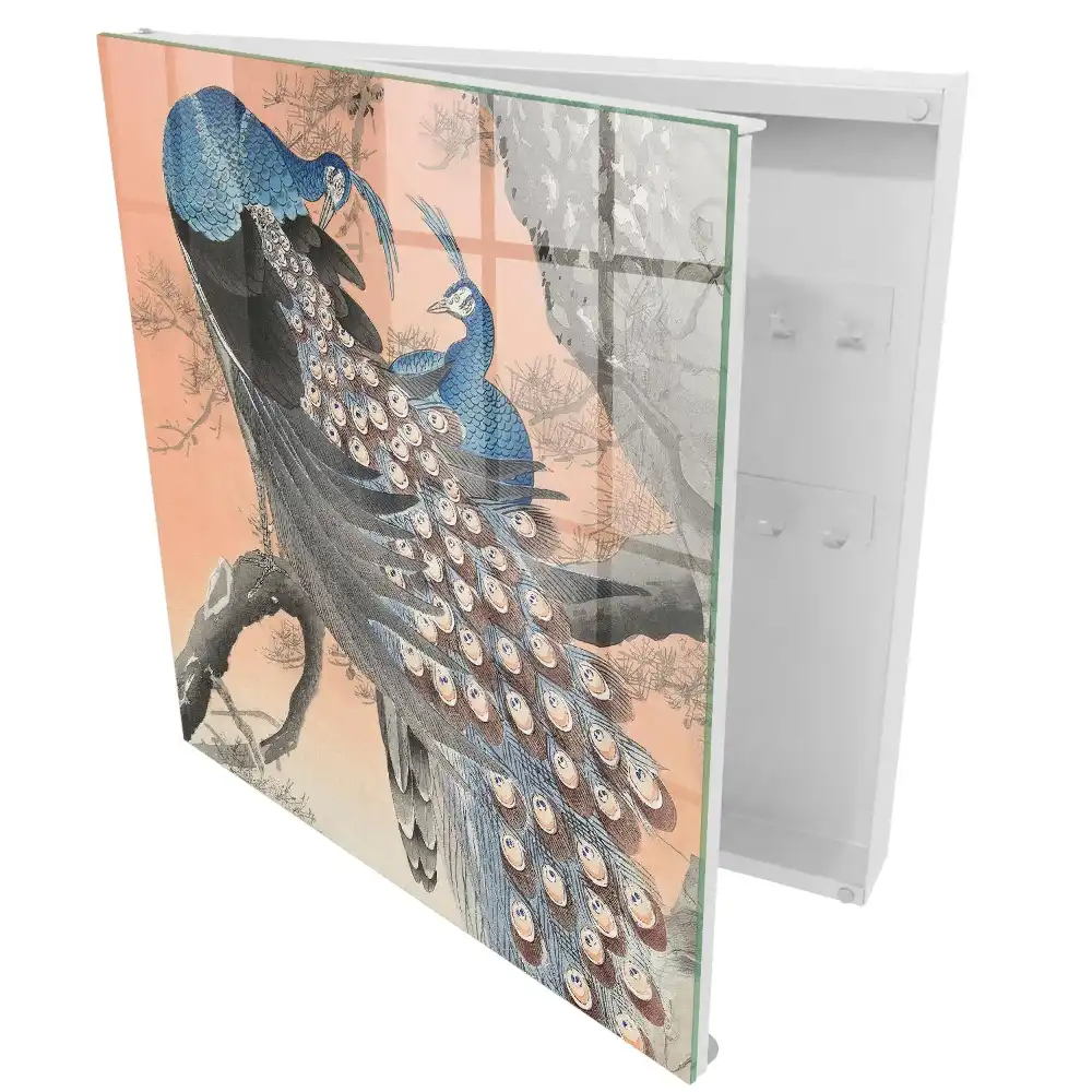 Armoire à clés paons bleus sur fond pastel