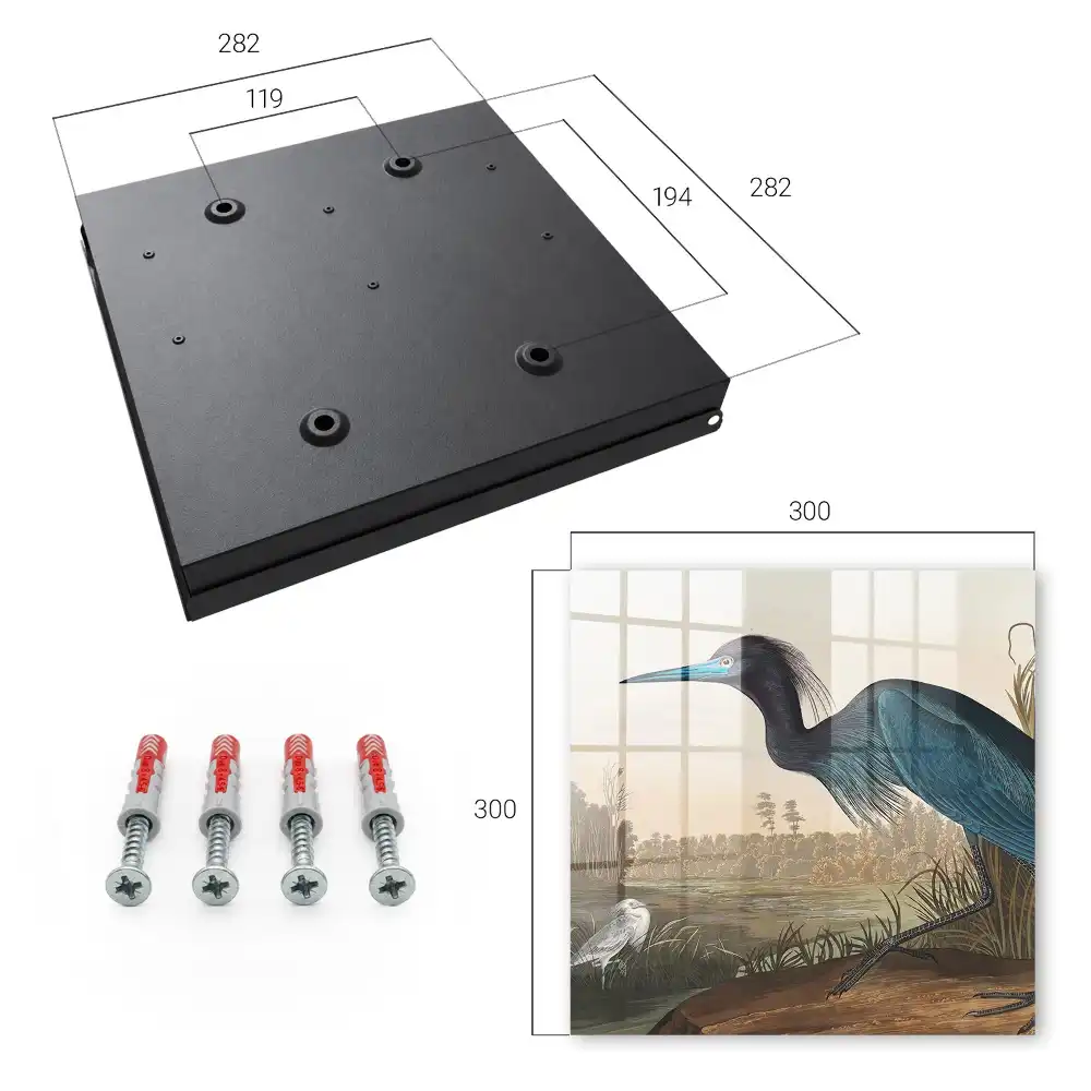 Armoire à clés un oiseau coloré au-dessus d'un lac rempli de végétation