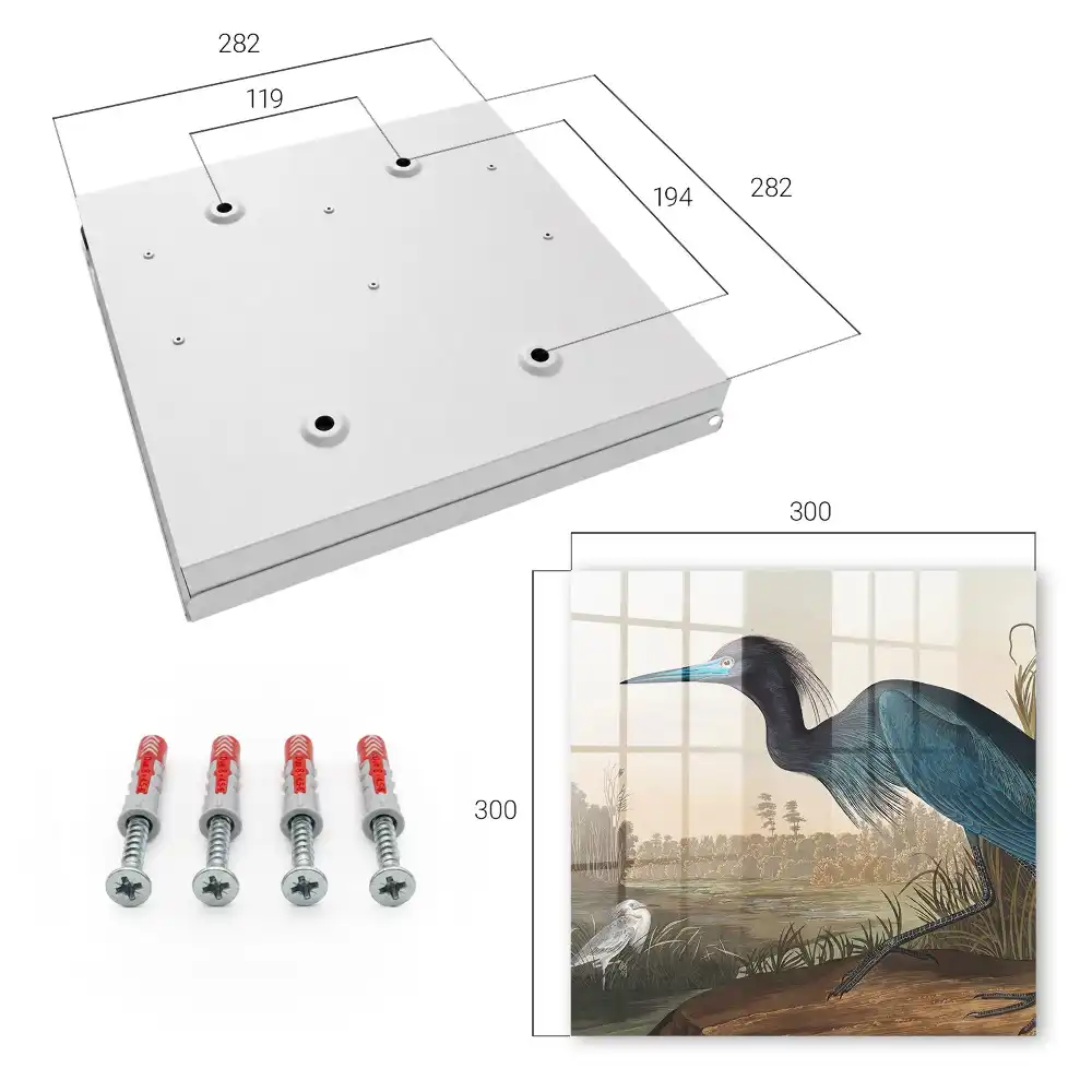 Armoire à clés un oiseau coloré au-dessus d'un lac rempli de végétation