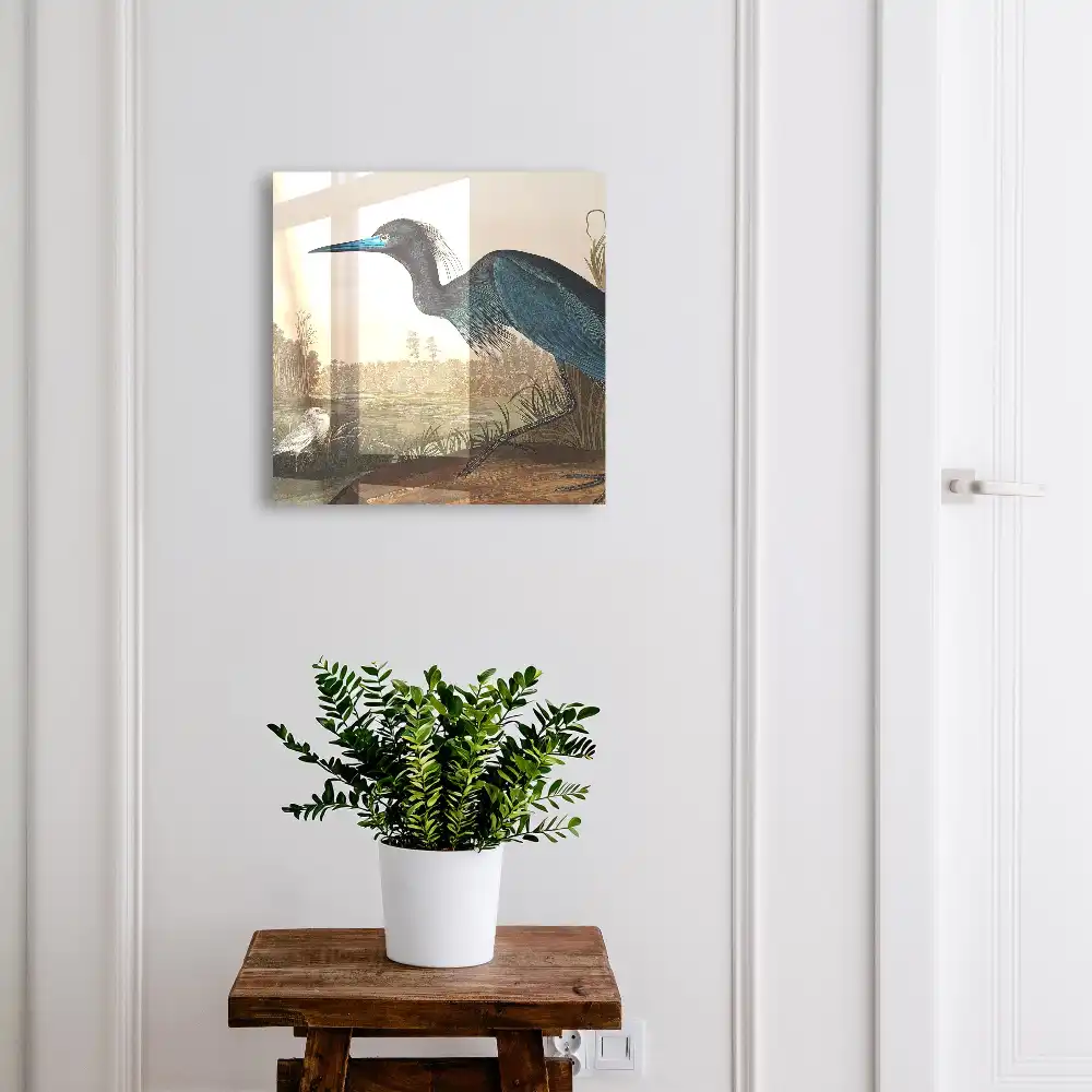 Armoire à clés un oiseau coloré au-dessus d'un lac rempli de végétation