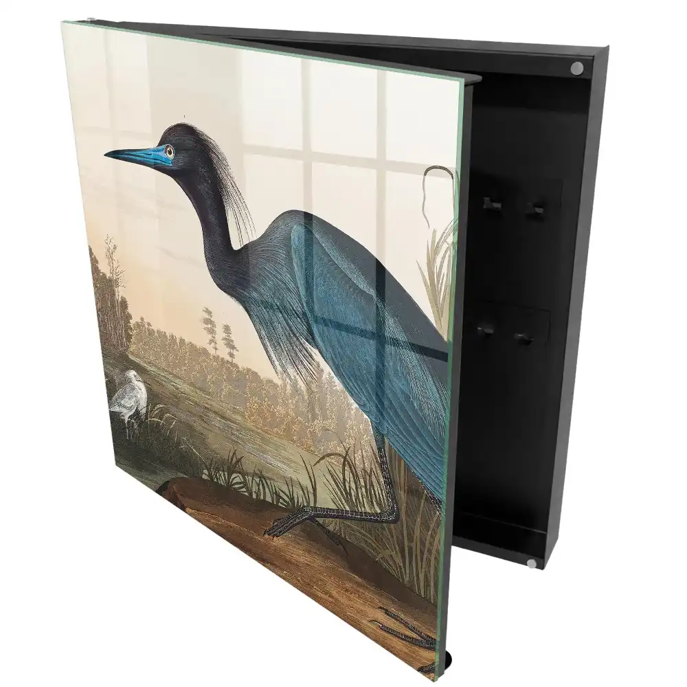Armoire à clés un oiseau coloré au-dessus d'un lac rempli de végétation