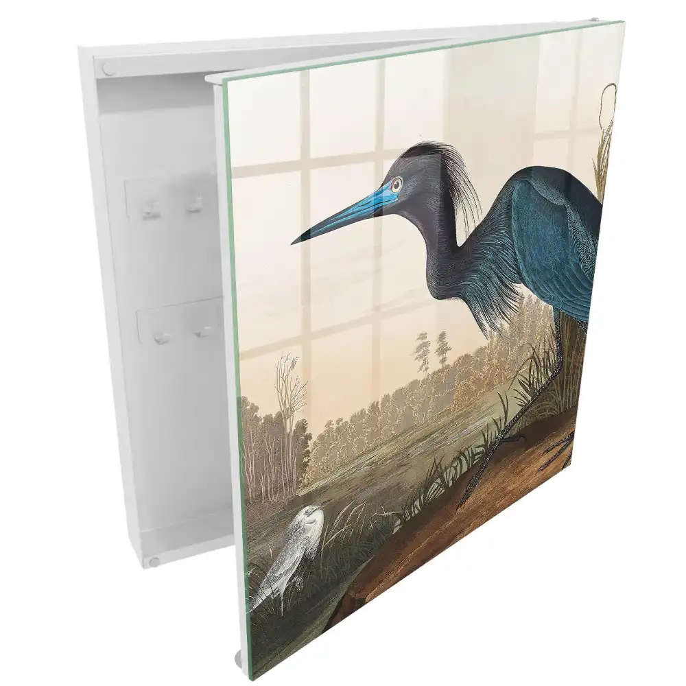 Armoire à clés un oiseau coloré au-dessus d'un lac rempli de végétation