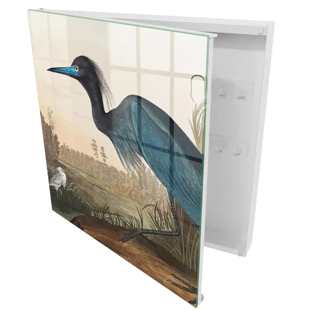 Armoire à clés un oiseau coloré au-dessus d'un lac rempli de végétation