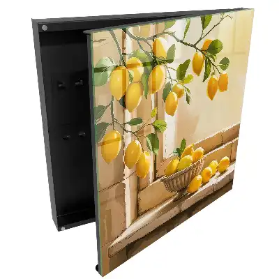 Boîte à clés murale des citrons juteux se détachant sur le fond de la fenêtre ajoutent une touche de chaleur