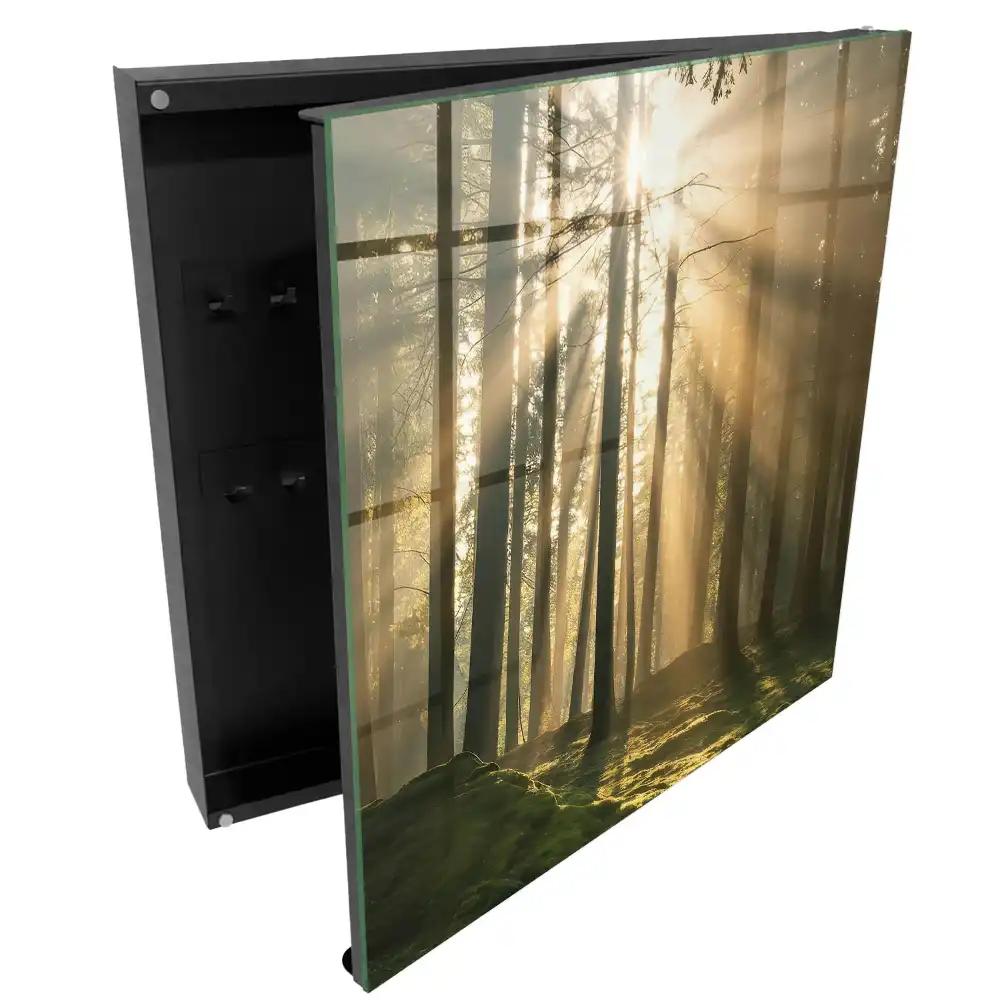 Armoire à clés la lumière dans la forêt crée une atmosphère magique