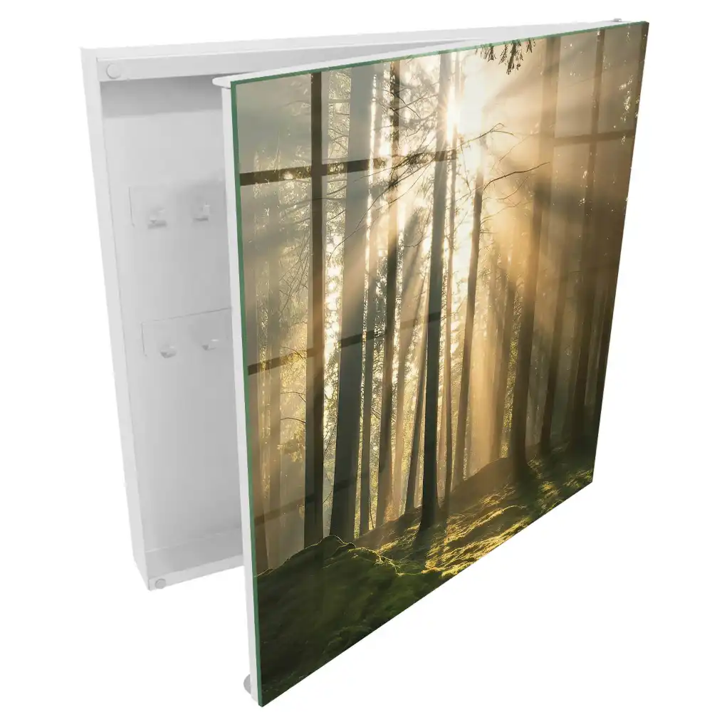 Armoire à clés la lumière dans la forêt crée une atmosphère magique