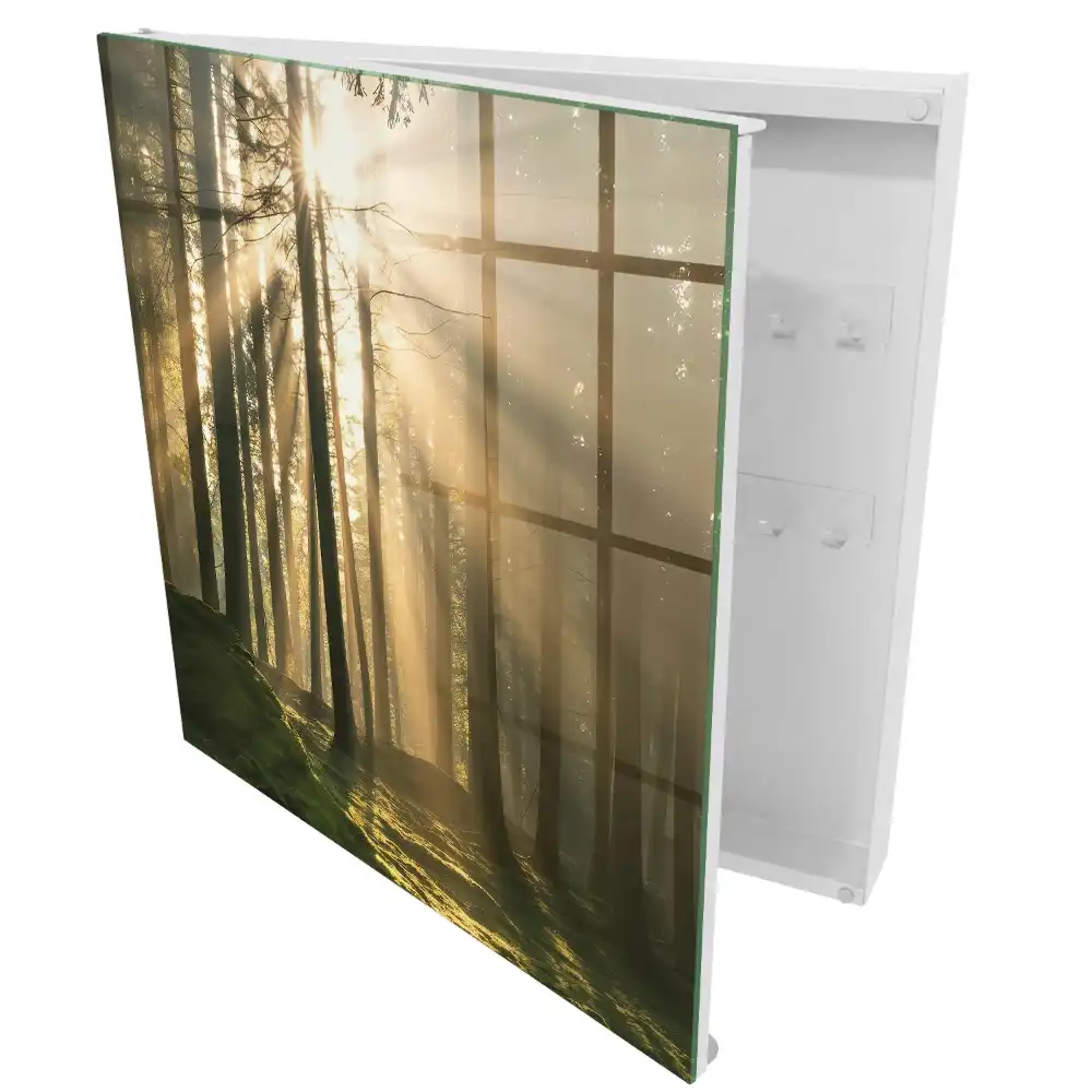 Armoire à clés la lumière dans la forêt crée une atmosphère magique