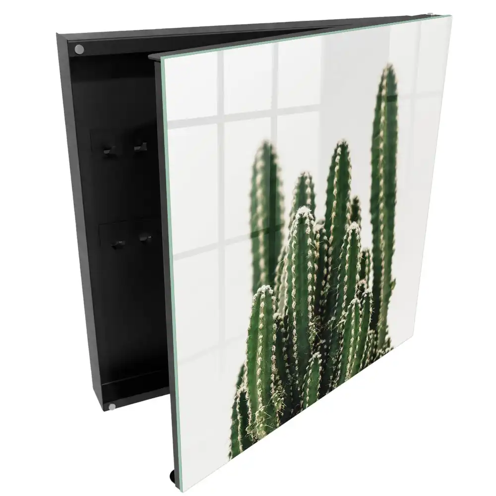 Armoire à clés cactus sur fond blanc dans un style moderne