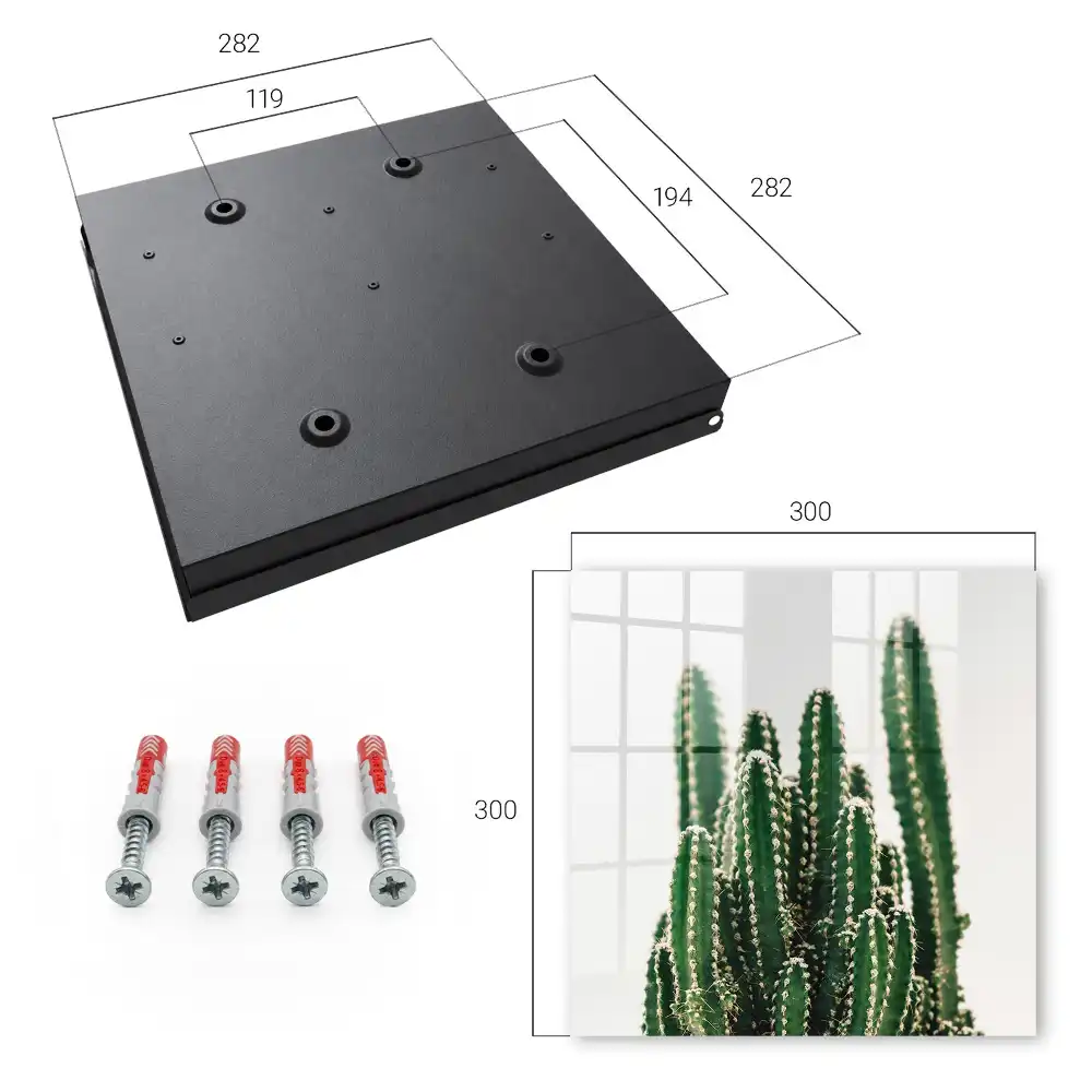 Armoire à clés cactus sur fond blanc dans un style moderne