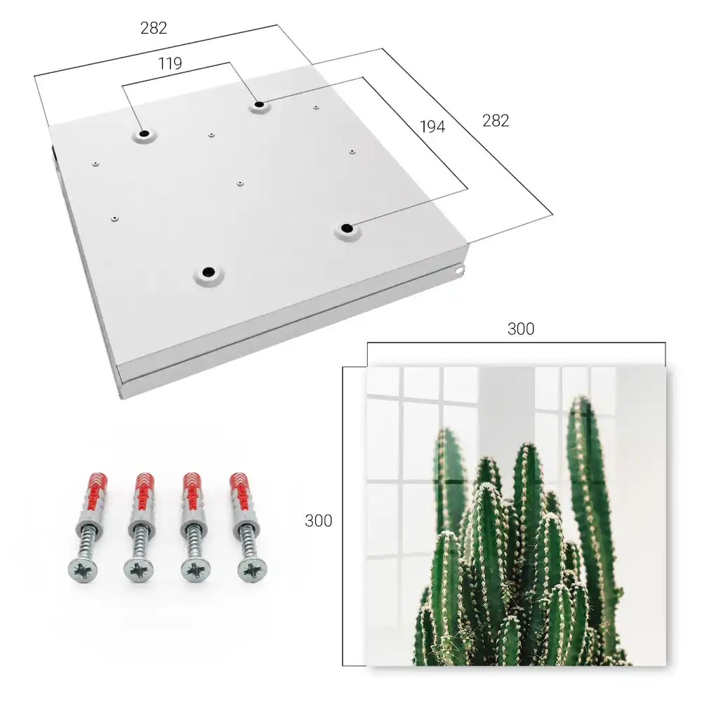 Armoire à clés cactus sur fond blanc dans un style moderne