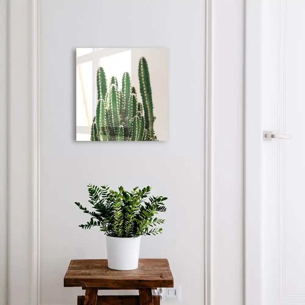 Armoire à clés cactus sur fond blanc dans un style moderne