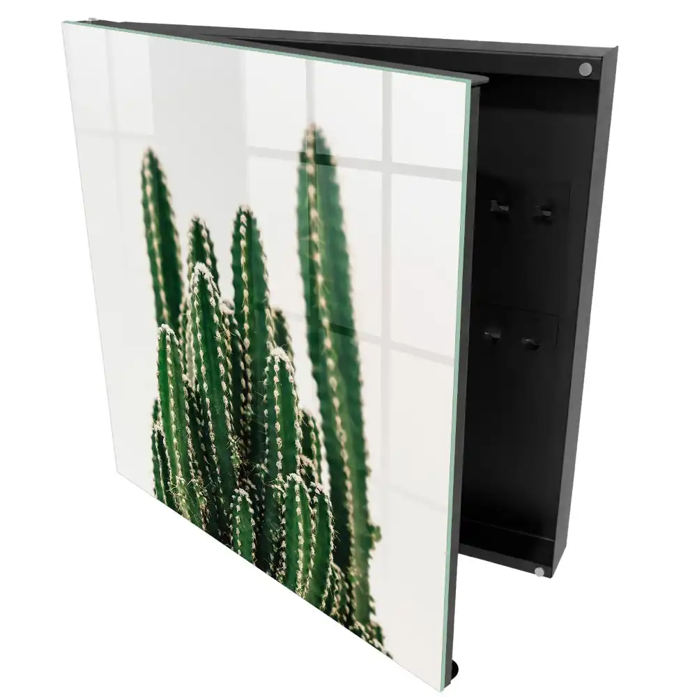 Armoire à clés cactus sur fond blanc dans un style moderne