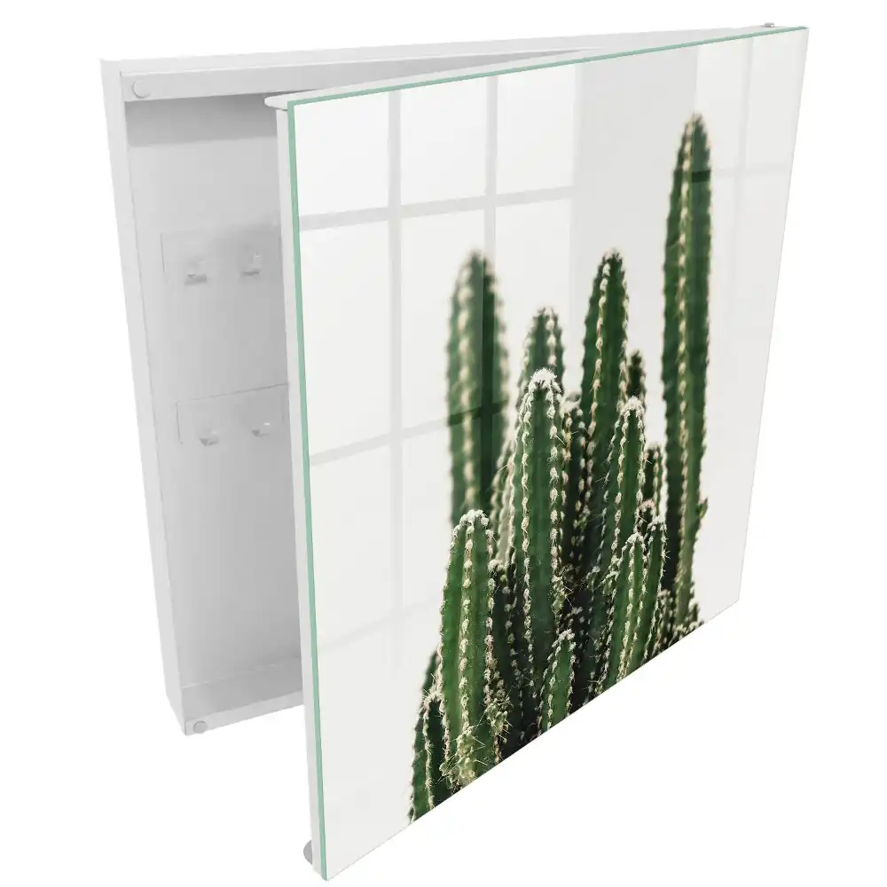 Armoire à clés cactus sur fond blanc dans un style moderne