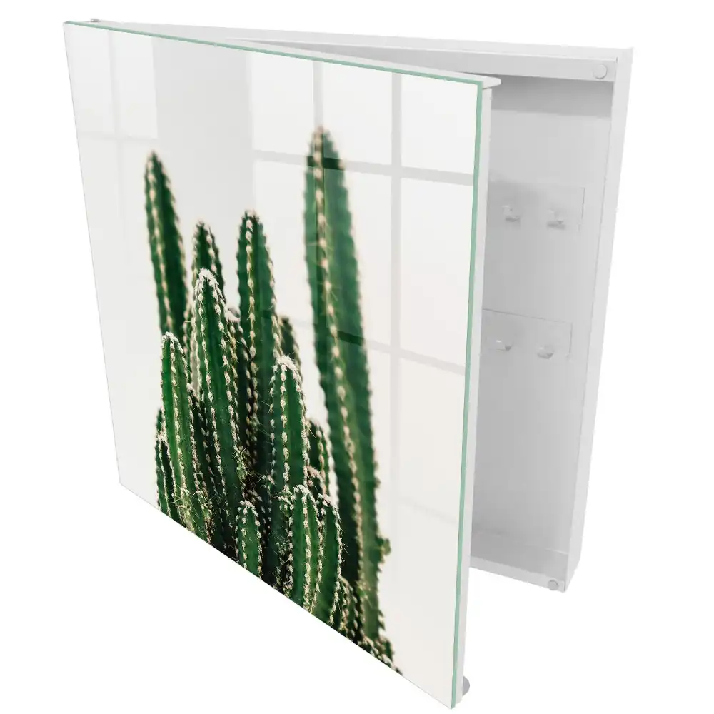 Armoire à clés cactus sur fond blanc dans un style moderne