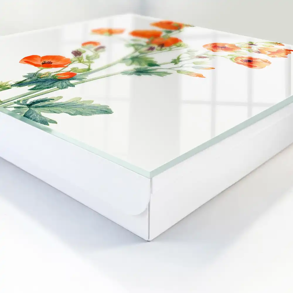 Armoire à clés coquelicots orange sur fond blanc vert