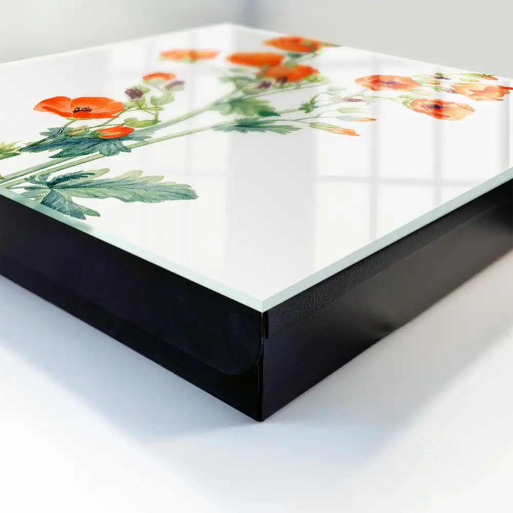 Armoire à clés coquelicots orange sur fond blanc vert