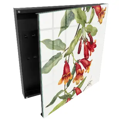 Boîte à clés plantes grimpantes à fleurs rouges