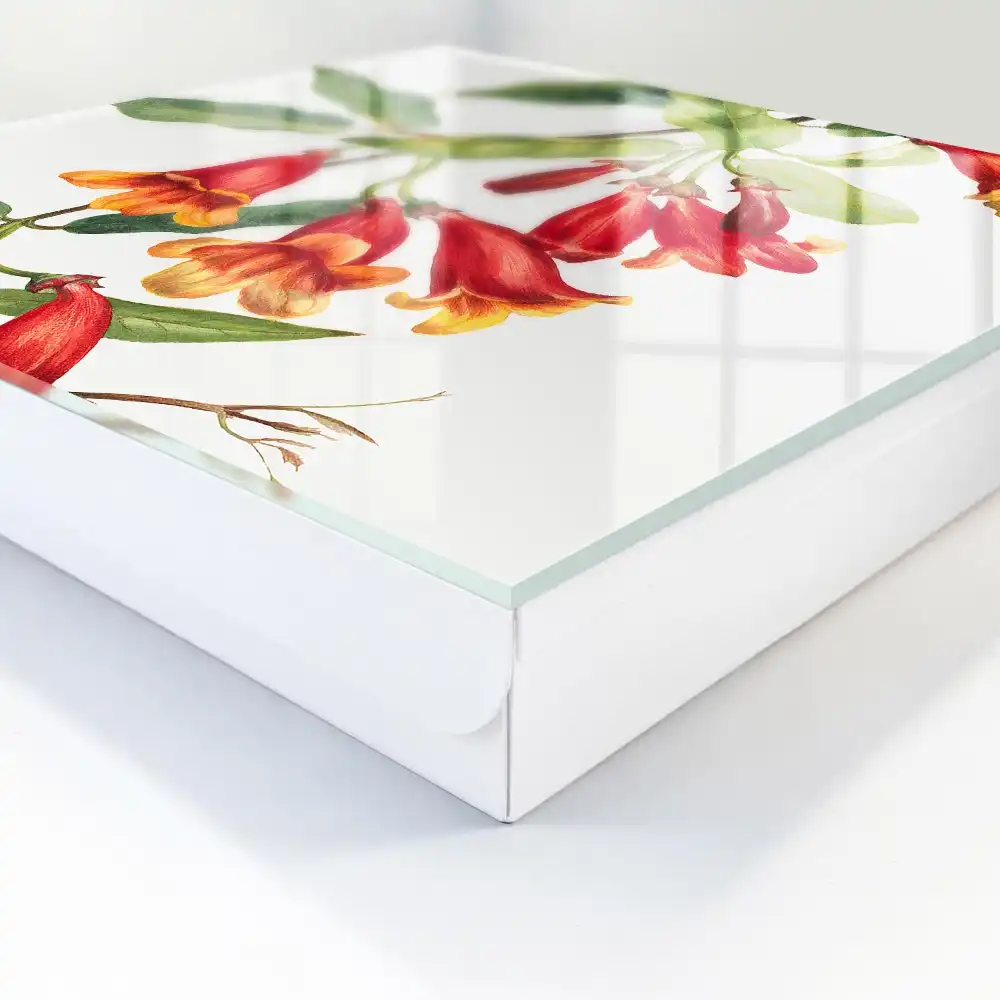 Boîte à clés plantes grimpantes à fleurs rouges