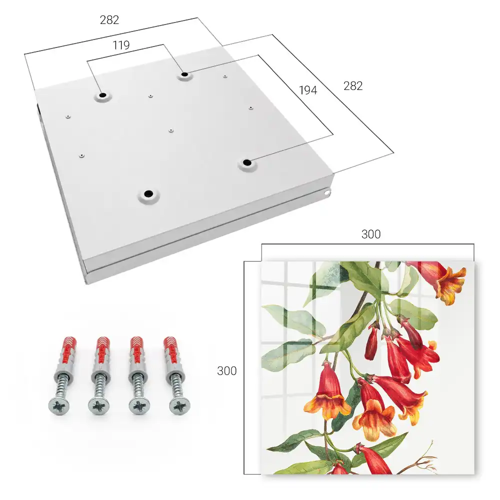 Boîte à clés plantes grimpantes à fleurs rouges