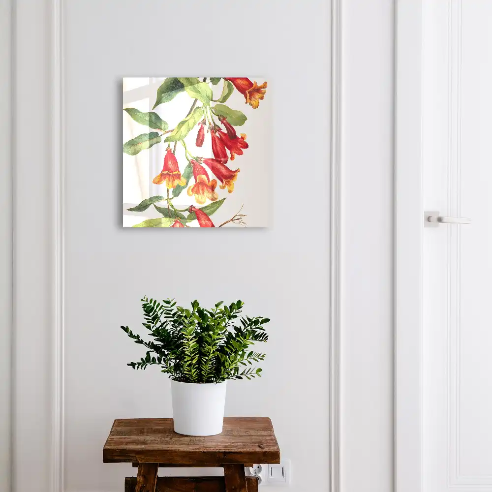 Boîte à clés plantes grimpantes à fleurs rouges