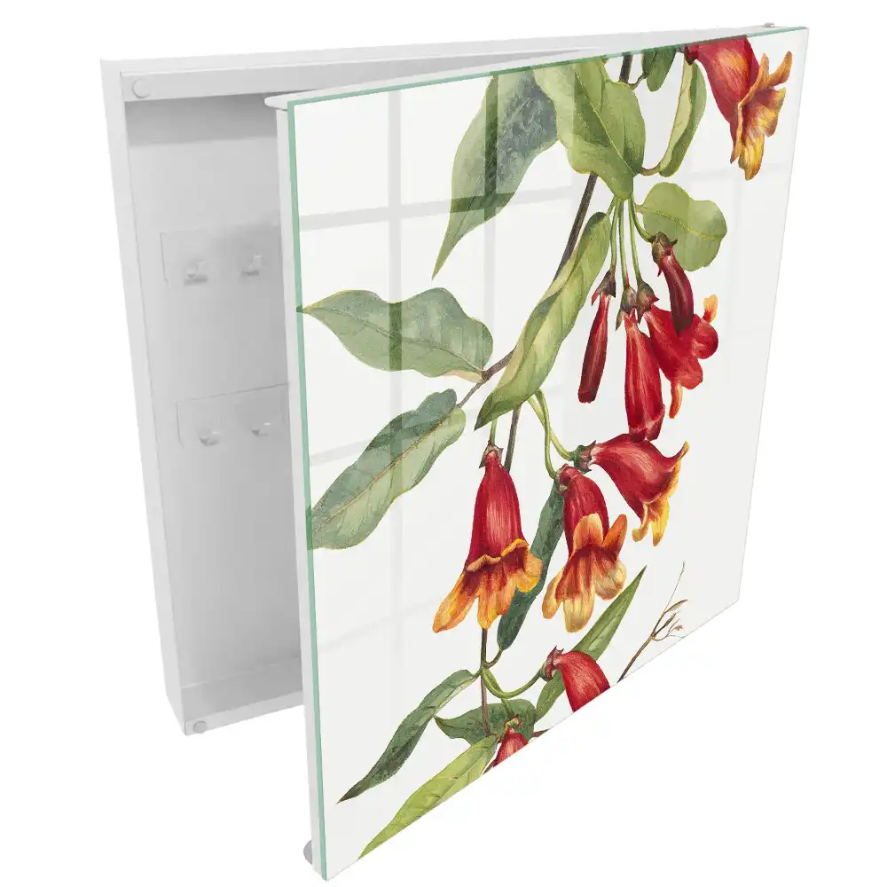 Boîte à clés plantes grimpantes à fleurs rouges