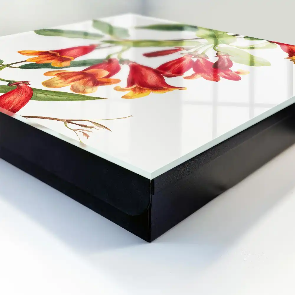 Boîte à clés plantes grimpantes à fleurs rouges