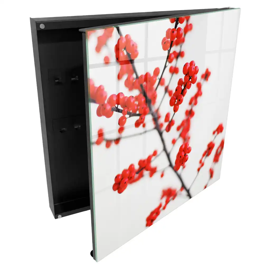 Armoire à clés baies rouges sur fond clair