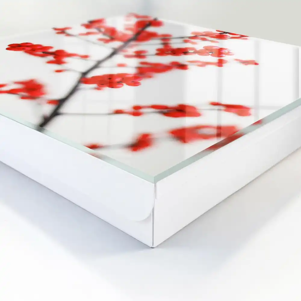 Armoire à clés baies rouges sur fond clair