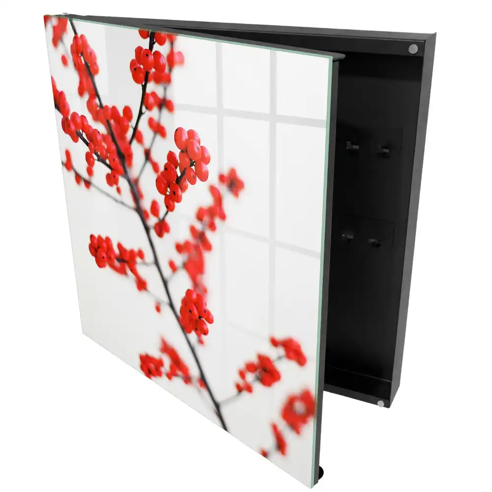 Armoire à clés baies rouges sur fond clair