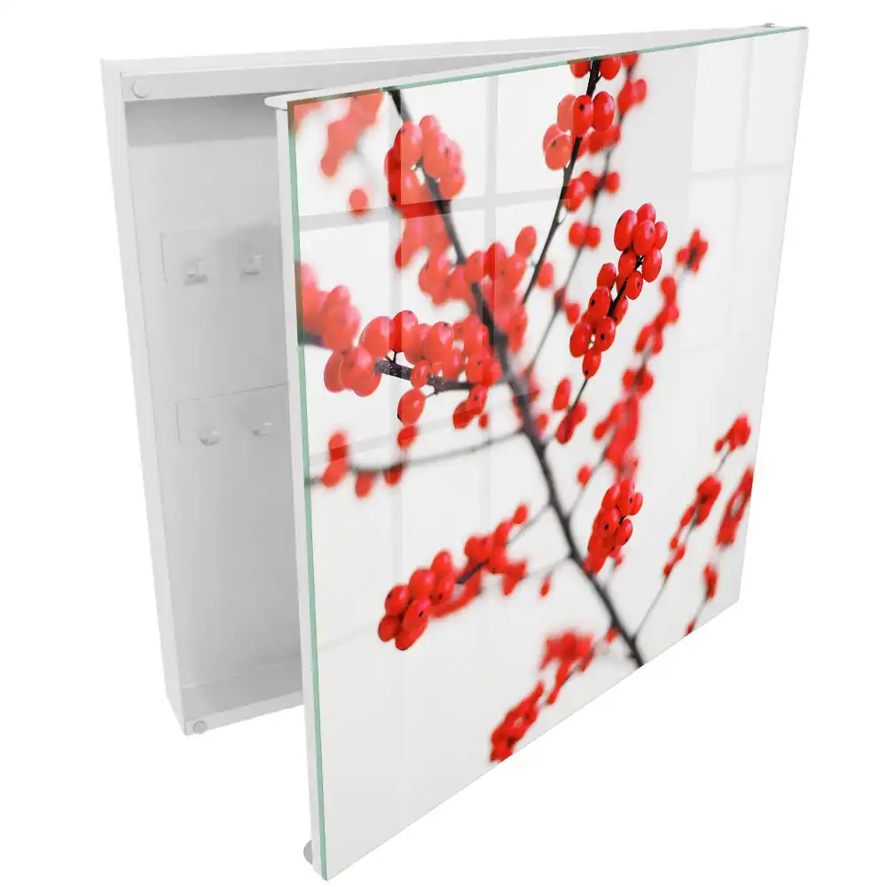 Armoire à clés baies rouges sur fond clair