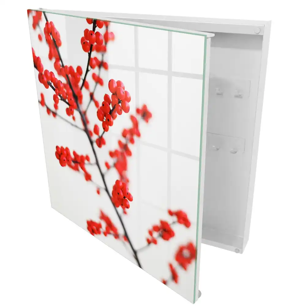 Armoire à clés baies rouges sur fond clair