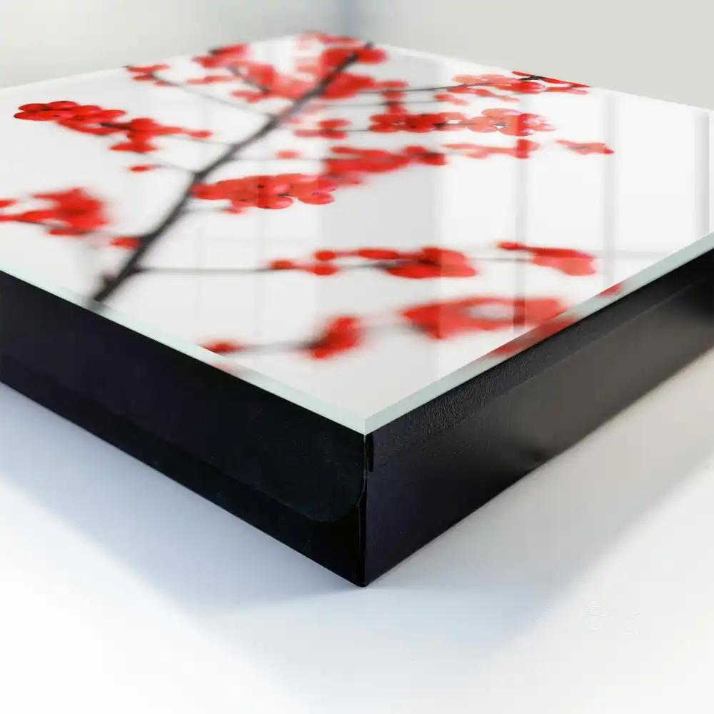 Armoire à clés baies rouges sur fond clair