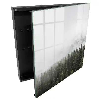 Boîte à clés brouillard sur la pinède mis en valeur par la verdure