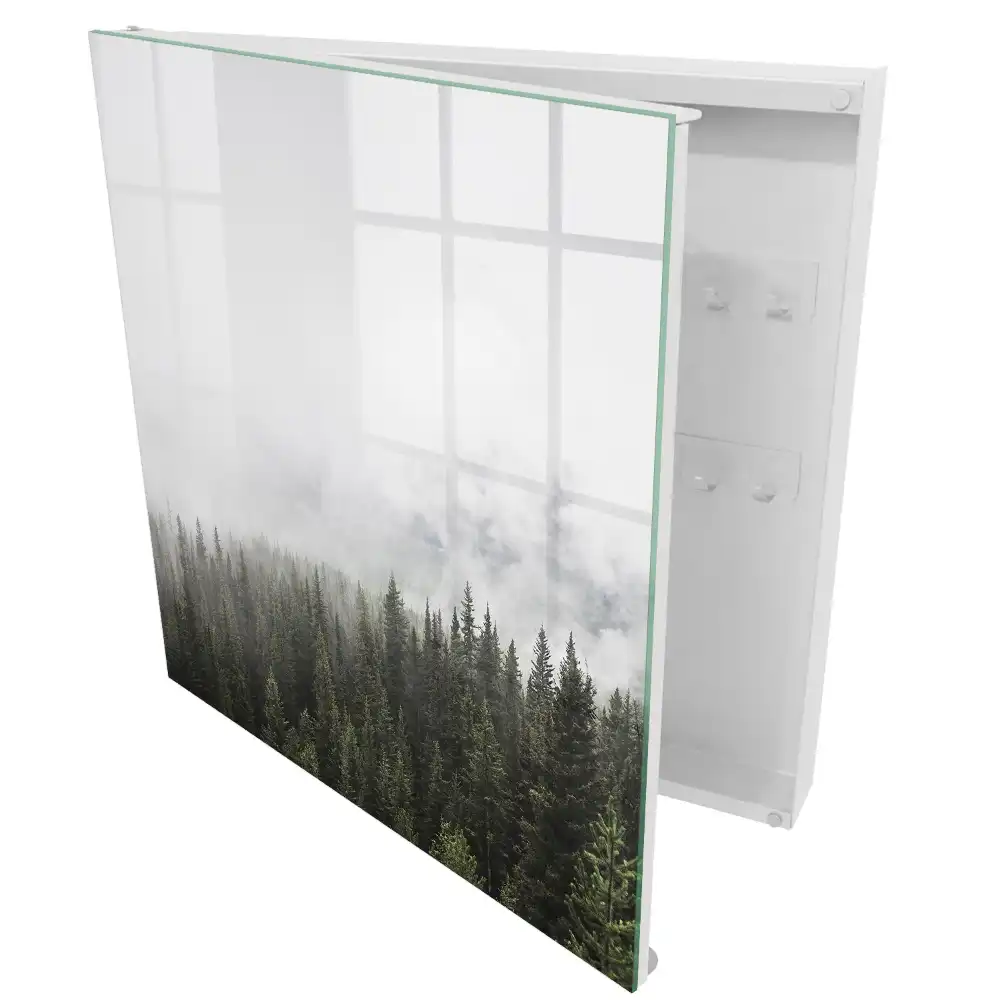 Boîte à clés brouillard sur la pinède mis en valeur par la verdure