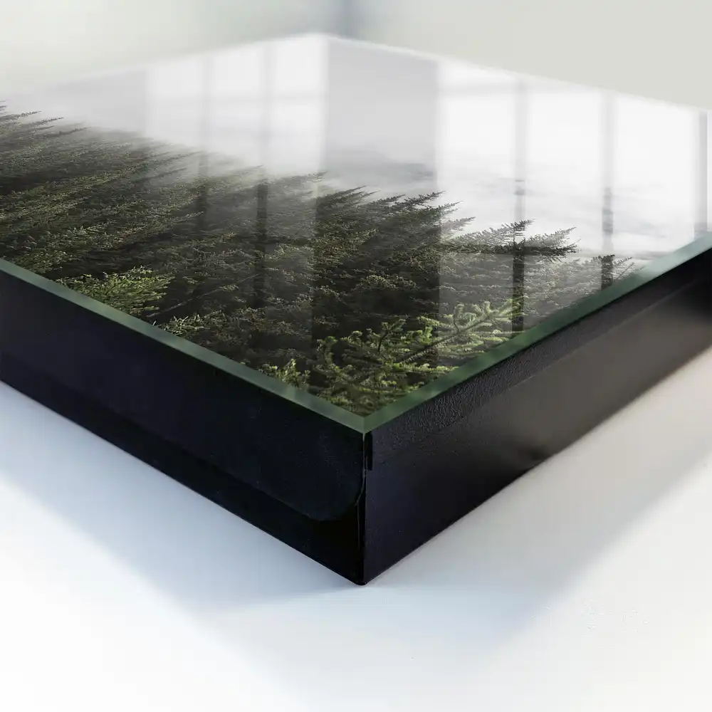 Boîte à clés brouillard sur la pinède mis en valeur par la verdure