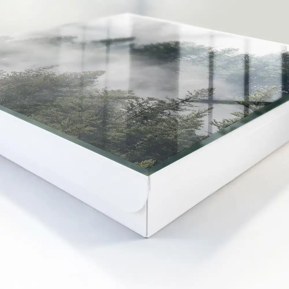 Boîte à clés une forêt brumeuse aux tons gris-verts